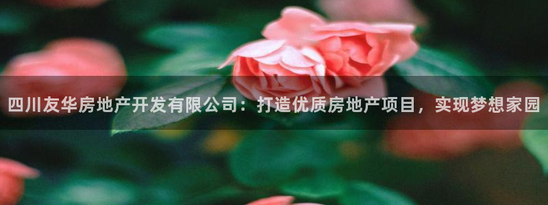 万向娱乐app