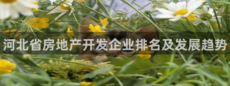 万向娱乐注册登录不了