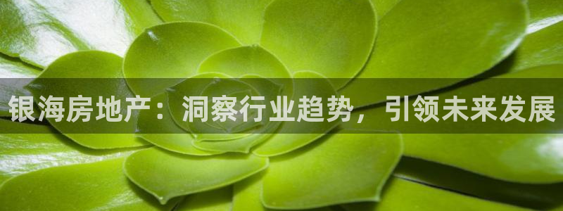 万能娱乐平台直招代理
