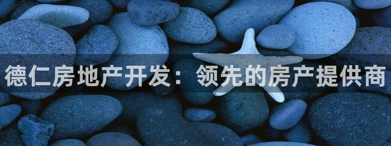 万向娱乐平台代理多少钱