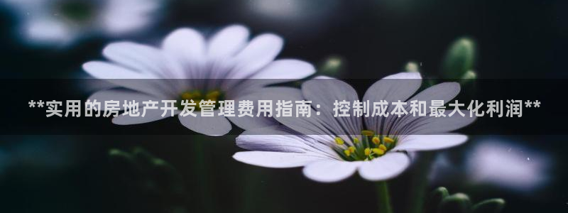 万向娱乐首页