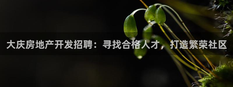 万向娱乐挂机