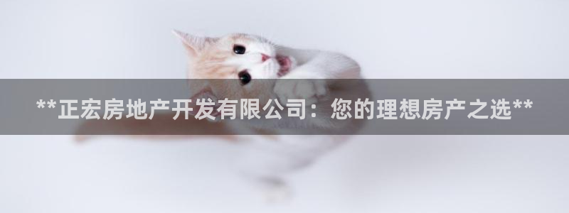 万向娱乐技术