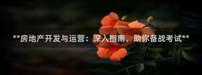 万向娱乐平台代理怎么样啊