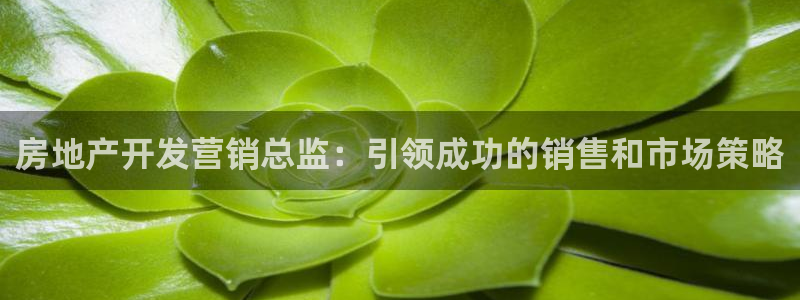 万向娱乐是哪个旗下