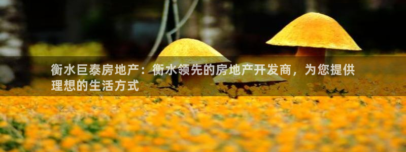万向娱乐官网网址