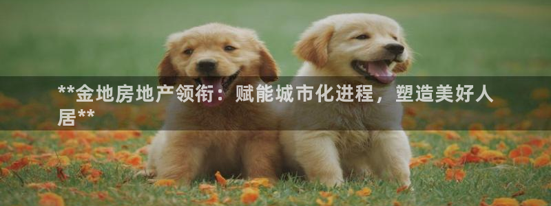 万向娱乐平台代理多少钱一个