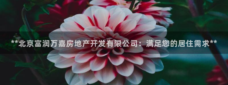 万向娱乐官网网址是多少