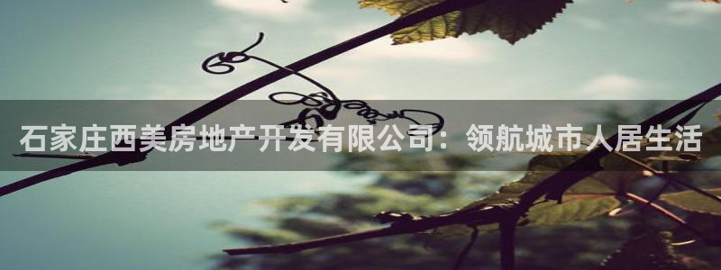 万向娱乐平台代理怎么样