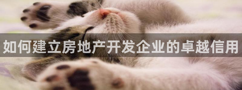 万向娱乐官网网址