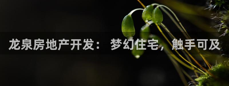 万向娱乐app下载安装