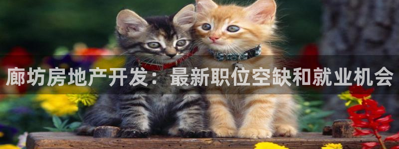 万向娱乐招商