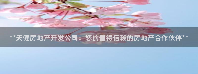 万向娱乐怎么样