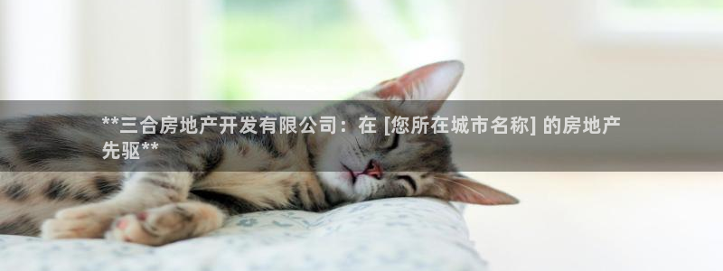 万向娱乐王者荣耀
