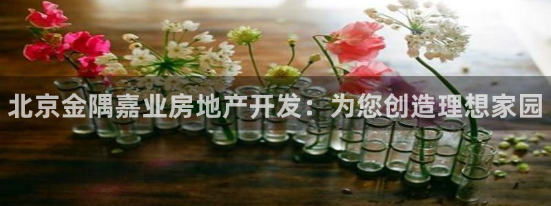 万向娱乐的联系方式是什么