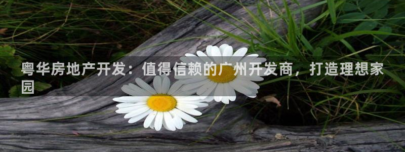 万向娱乐平台代理多少钱一年