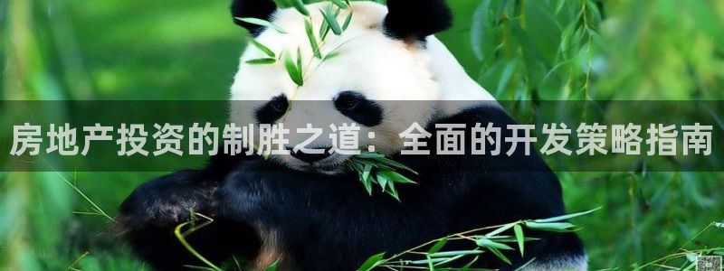 万向娱乐招商