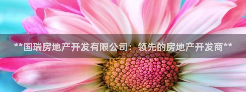 万向娱乐代理好看视频