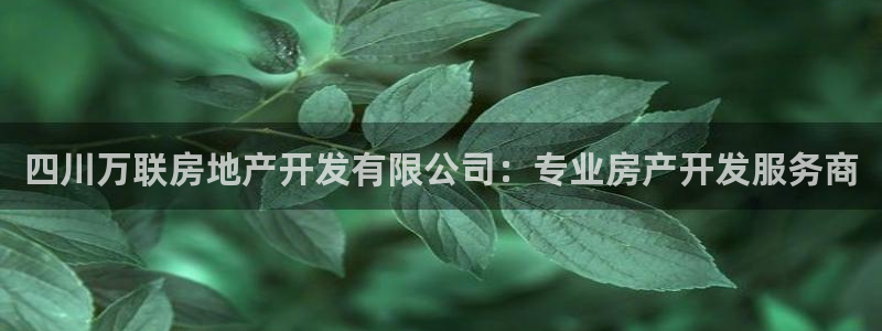 万向娱乐代理好看视频