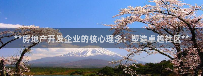 万向娱乐的联系方式是什么