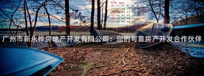 万向娱乐挂机软件