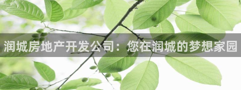 万向娱乐的联系方式是什么